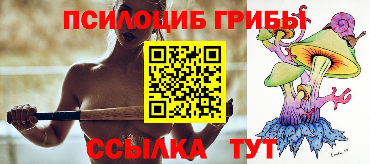 хочу наркоту  Псилоцибиновые грибы Cubensis  Псилоцибиновые грибы мицелий  Вход с VPN  Мичуринск 